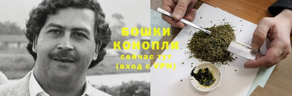 spice Богородицк